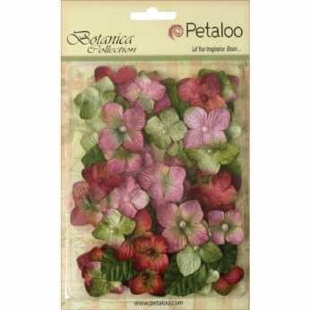 Petaloo Fall Berry Pick - Vintage Velvet