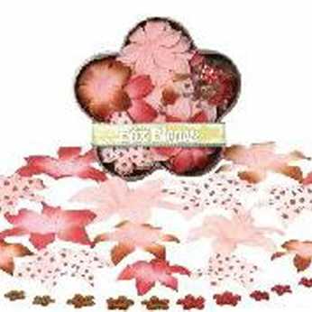Petaloo Chantilly Velvet Hydrangeas rose