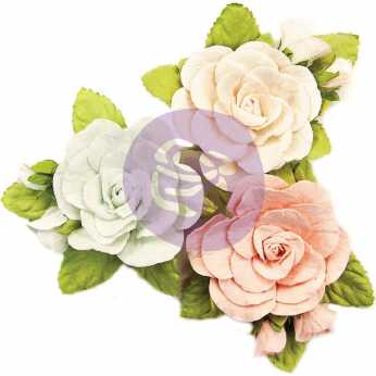 Prima Flowers Sweet Roses Poetic Rose
