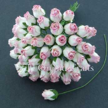 10 Stk. Rosenknospen hip rosebuds baby pink