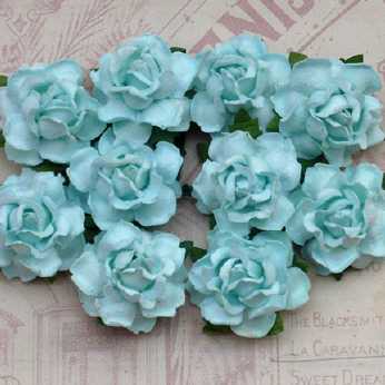 5 Stk. Rosen cottage roses aqua 25 mm