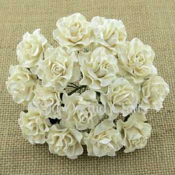 5 Stk. Rosen tuscany roses white 30 mm