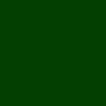 Rechteckige Schachtel dunkelgrün